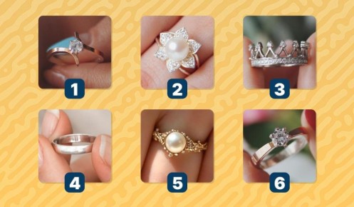 ��� ������ ����� �������� ���� ��������: ������� ���� �� ��������