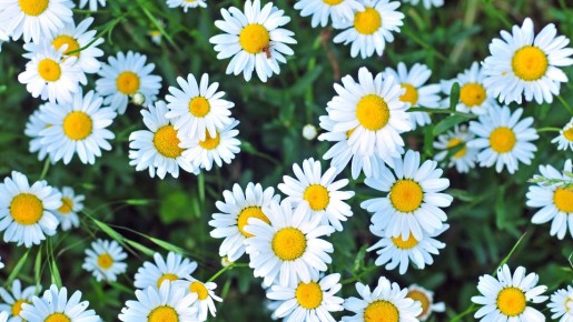 ��� ������ ������� ����� �������� ���� �����