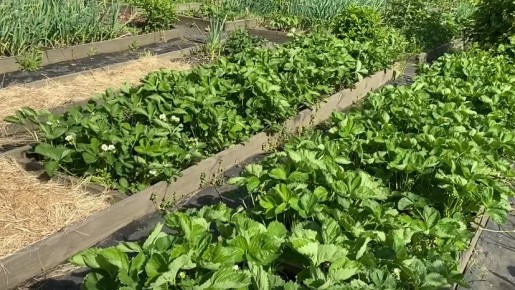 ������ � ������ ����������: ��� �������� ������ ������ � ���������� �������