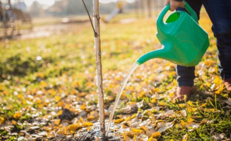 ��� ������� ����� �������� �������� ����� ��� �������� ������