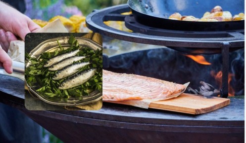 ����������� ����� ����� �������� ����: ������� ������ ������ � ������