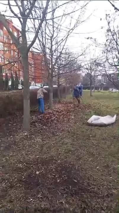 Работе Зеленхоза благоприятствует хорошая погода - специалисты МКУ приводят в порядок свои территории