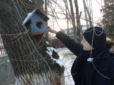 Ингушские юннаты присоединились к акции «Покормите птиц зимой»