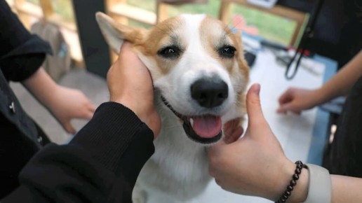 ������� ���� ��� ������ �������� ��������