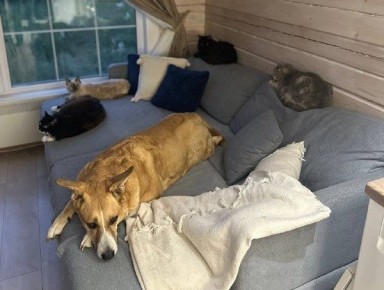 � ������� ���������� ����� ������� ��� �������� ��������