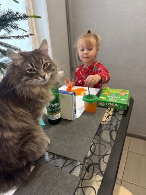 ��� �������� ���� � ������: ���� � �����������