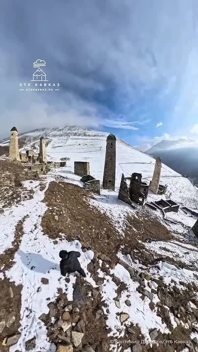 �������� �������� ���� � ��������� � ���������� ������������ ������ �� ������ ��� ������, �� � ��� ����� ����!