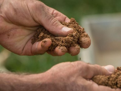 ��� ������� ����� � ���������� ������ �����: ��� ������� ������