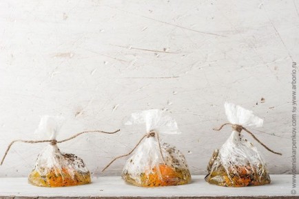 ����� �������� ������������ � ���������� ������