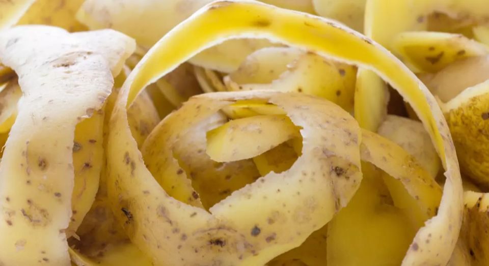 ��������� ��������� �� ���� ����������� ��� �������� �������