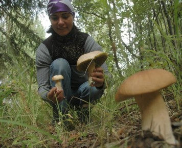 ������� �����: ��� �������� ���������� ���� ����