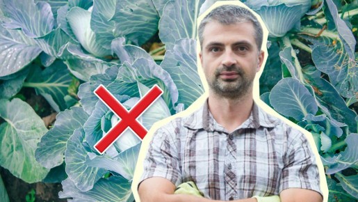 ������ �������� ������ ���������� � ��� �� ������: ��� ����� ��� ����� ��������