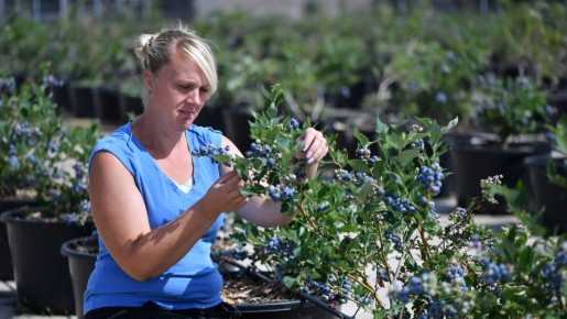 �������� ����� ���� �� ������: ��� ��� ����� ������� ����� �� �������