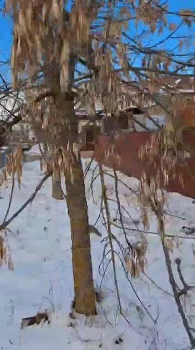 «Электросеть» города Магас провела комплексные работы по обслуживанию распределительных электрощитов