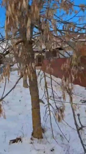 ������������� ������ ����� ������� ����������� ������ �� ������������ ����������������� ������������