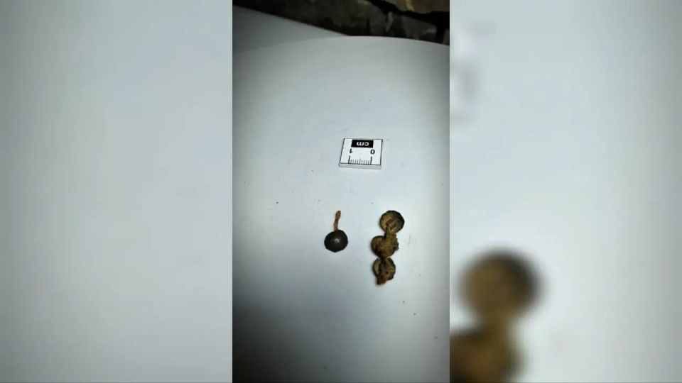 ��������� ���������� � ������ ��������� ��������� �������� ���������� ��������