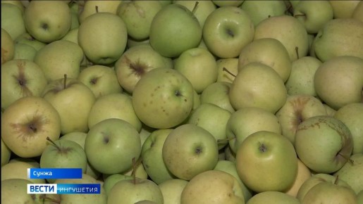 ���� � ������ ���������� ������� � �������� ��������� ������ ������ ������