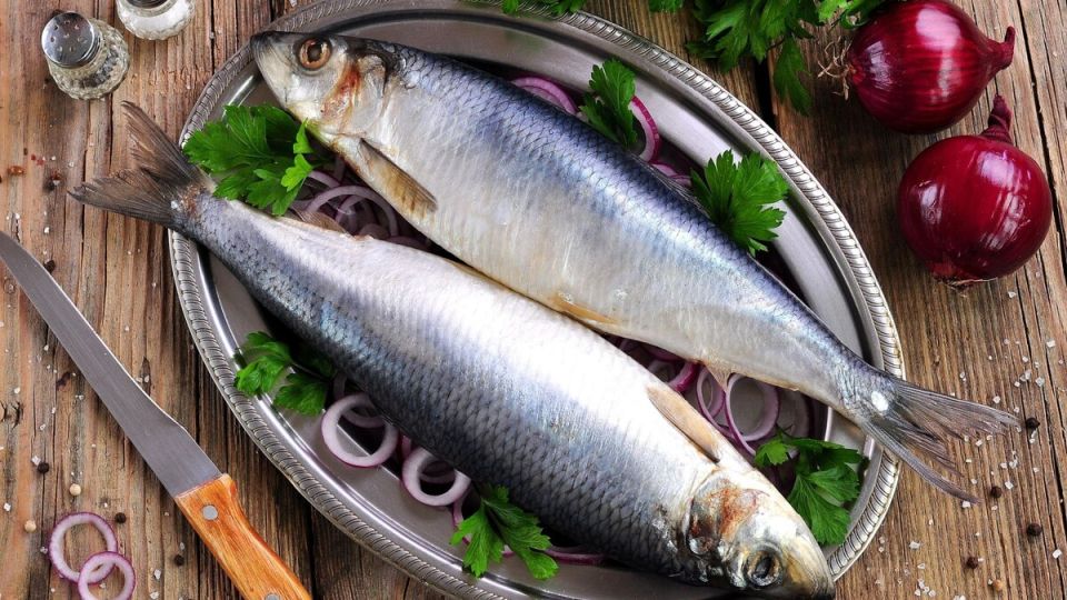 ���� ��� �� ���� �� ���: ��� ���������� � ��� � ���� ����