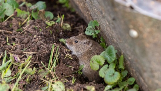 ������� ������� ������: 7 ��������, ������� ������� ���������� �� ����� �� ����� ������� � 2026 ����