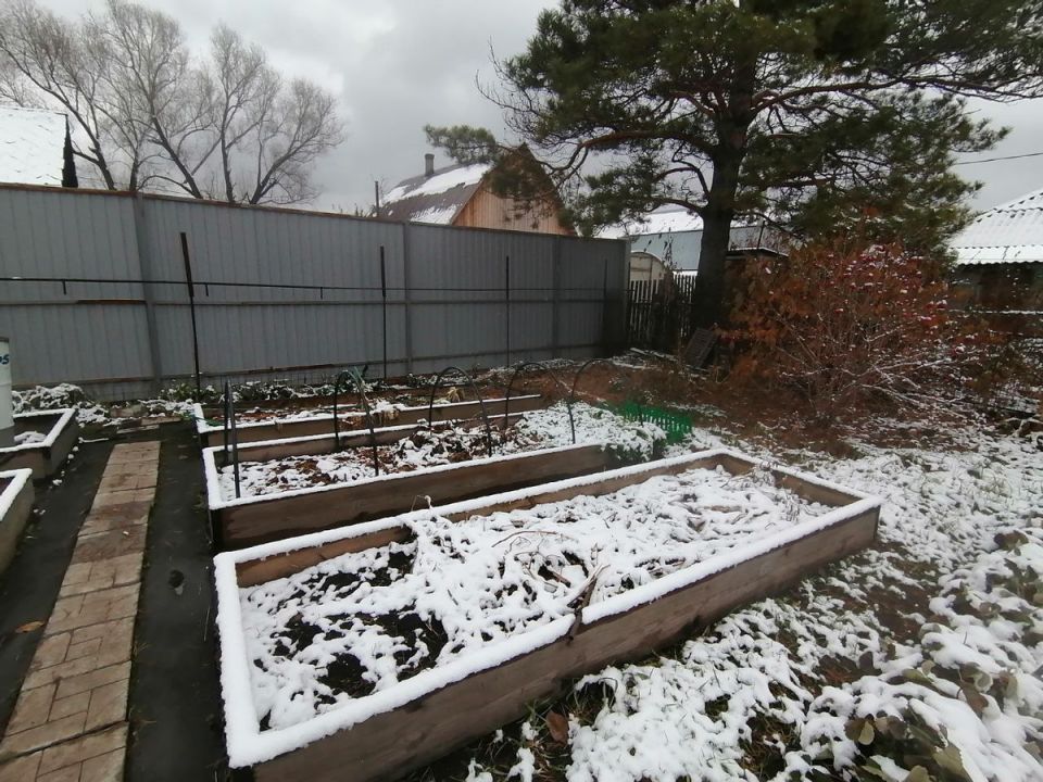 ���������� ���� � ����: ������ ���� ������