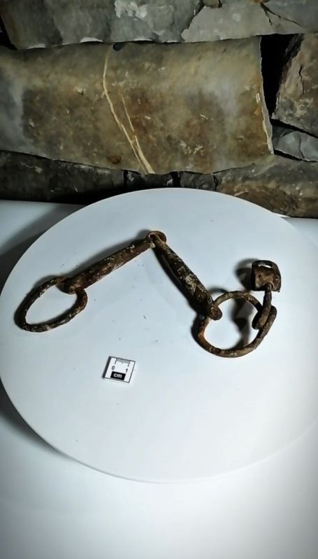 Элемент конской упряжи 1930-х нашли в башенном комплексе Нижний Пуй