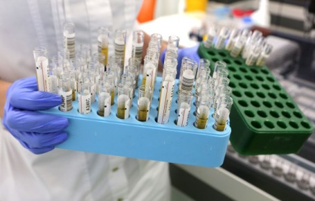 � ������������ �������� ���������� ������� ����� �������� ������� � �������