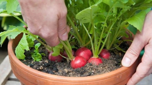 ����������� ������ � �������� ��������