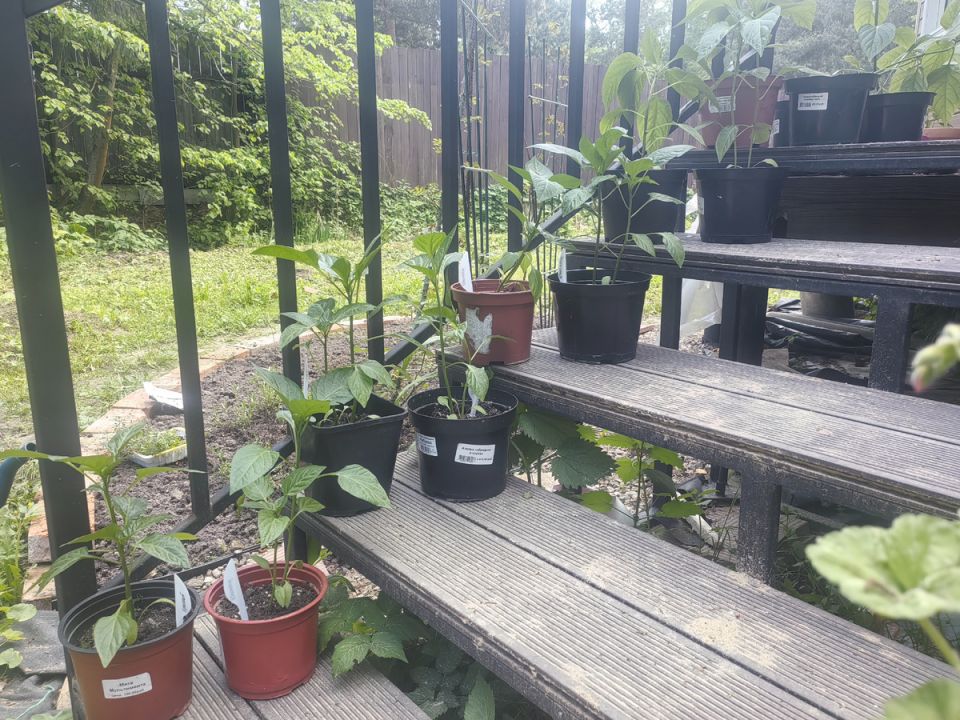 ��������� ������ �������� ���� ������: ���� ������ ���������