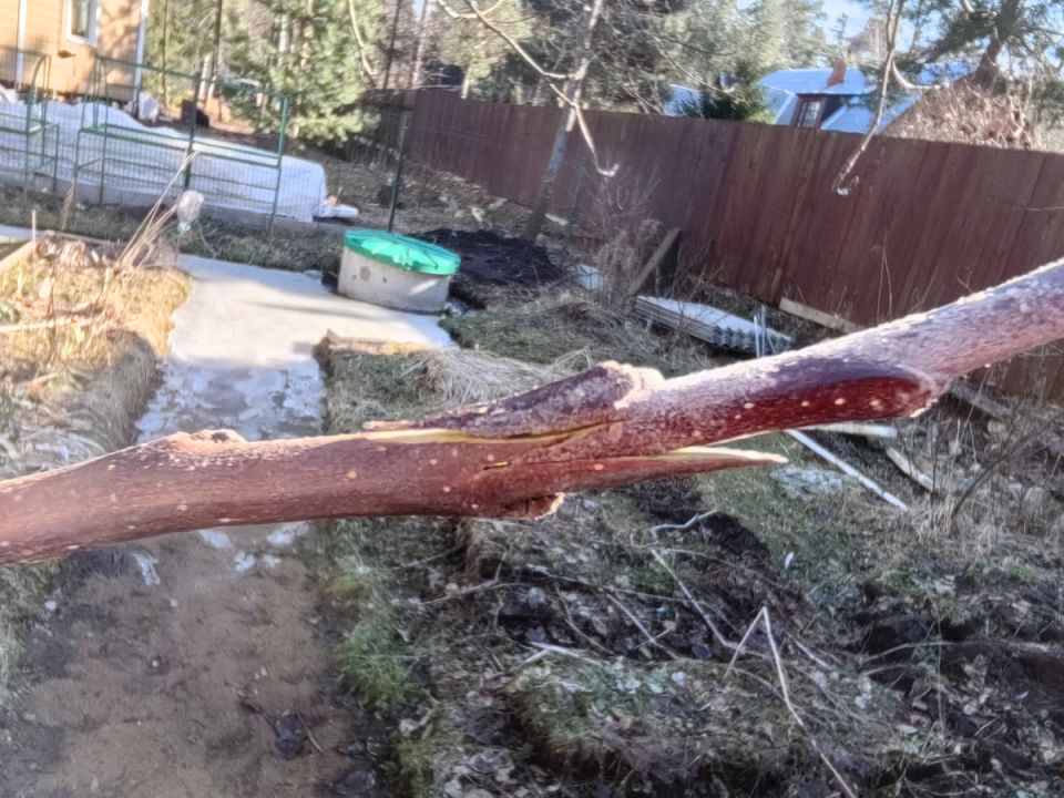 ����� � ����� ������ � ����