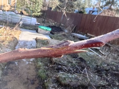 ����� � ����� ������ � ����