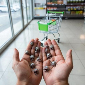 ����� ��������� ���� ���� ����� ������ � �������