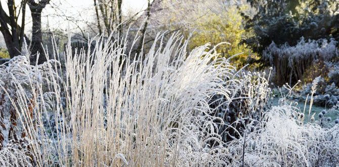 ��� ������� ���, ������� ������ ���� ������� ���