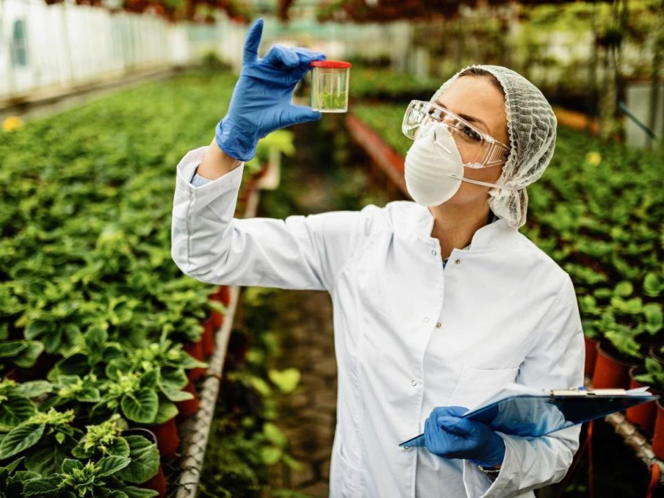 ������� ���������� �� �������� �������� � ��������