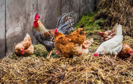 ��� ������� ����� ������ �� ������: ������� ������ � ������ ������������