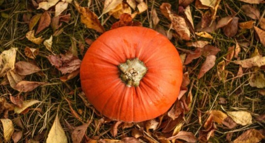 ��������� ����: ����� �������� � ��������� �������� �������