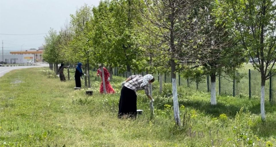 Ингушетия на пути к экологической устойчивости: как реализуются нацпроекты в регионе