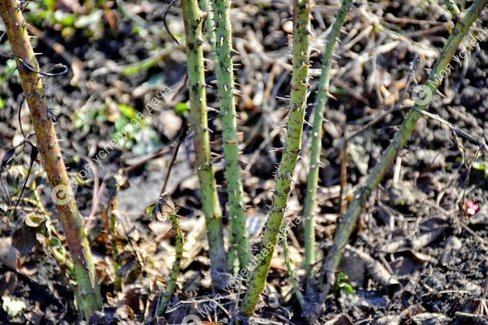 �������� ���� �� ������: ��� ����� ������� �� ������ �����