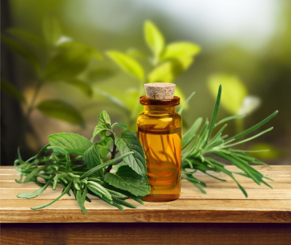 ��� ������ ������ �� ����������: ��� ������������ � ��� �����