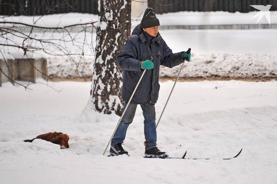 ���������� ������ ��� ����������� � ��������: �� ����������� ������� �� ������ �� ������������ ������