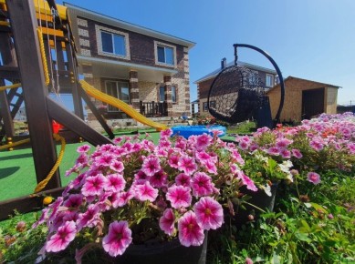 Когда сеять петунии? Узнайте самые подходящие сроки