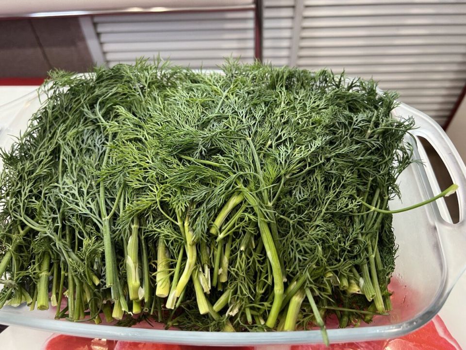 Как правильно заморозить укроп: секреты и преимущества