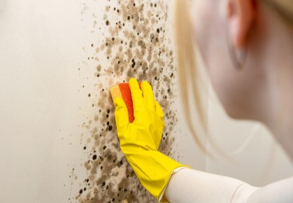 ��� ���������� �� ������� � ������� �������� ��������?