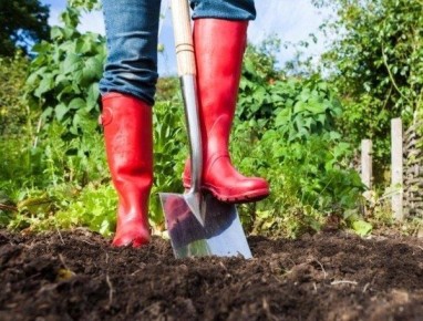 Умные шаги к экономии на даче