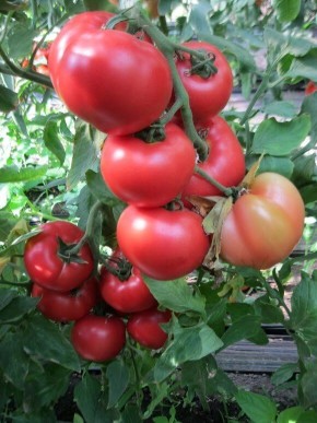 �������� ������� ������: �������, ������� ���������� ����� ������