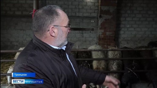 ���������������� �������� ��������� �������� 2025 ��� � ���������� ������������