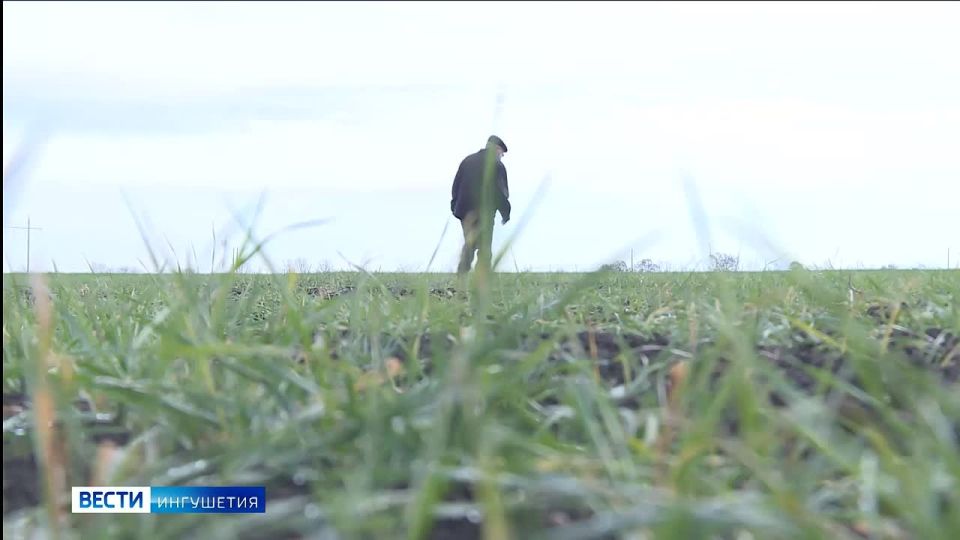 ����������� ���������������� ��������� ���������� � ��������������� ����������� �������