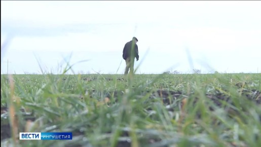 ����������� ���������������� ��������� ���������� � ��������������� ����������� �������