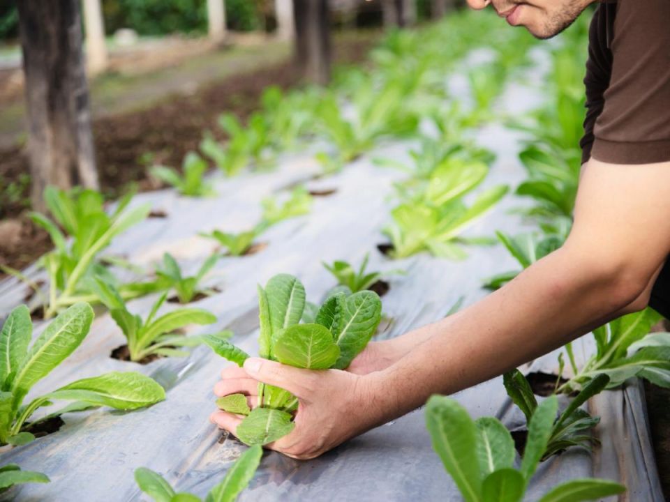 ��������: ������ �������� �� ������ � ����������