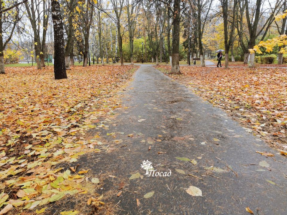 Ноябрьские праздники: Советы дачникам и любителям растений