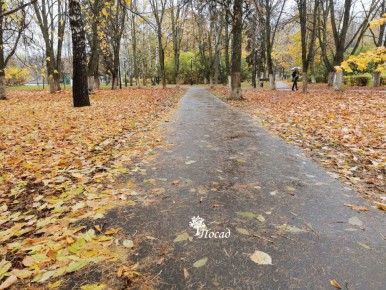 Ноябрьские праздники: Советы дачникам и любителям растений